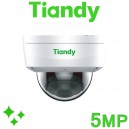 Tiandy 8CH NVR CCTV System 5MP IP PoE Audio Mic Starlight Vandal Dome Camera Kit TC-R3110-I/B/P8/K/V3.0 TC-C35KS I3/E/Y/C/H/V4